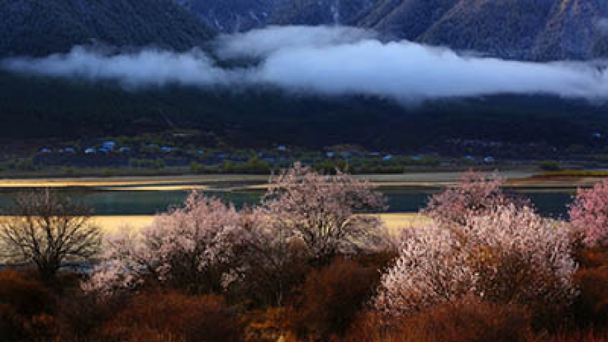 西藏林芝風景區